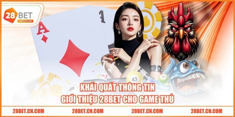 Giới Thiệu 28BET Khái quát thông tin giới thiệu 28BET cho game thủ